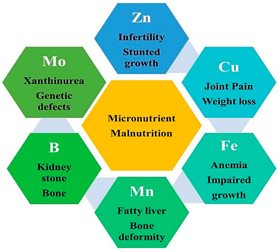 Micronutrient