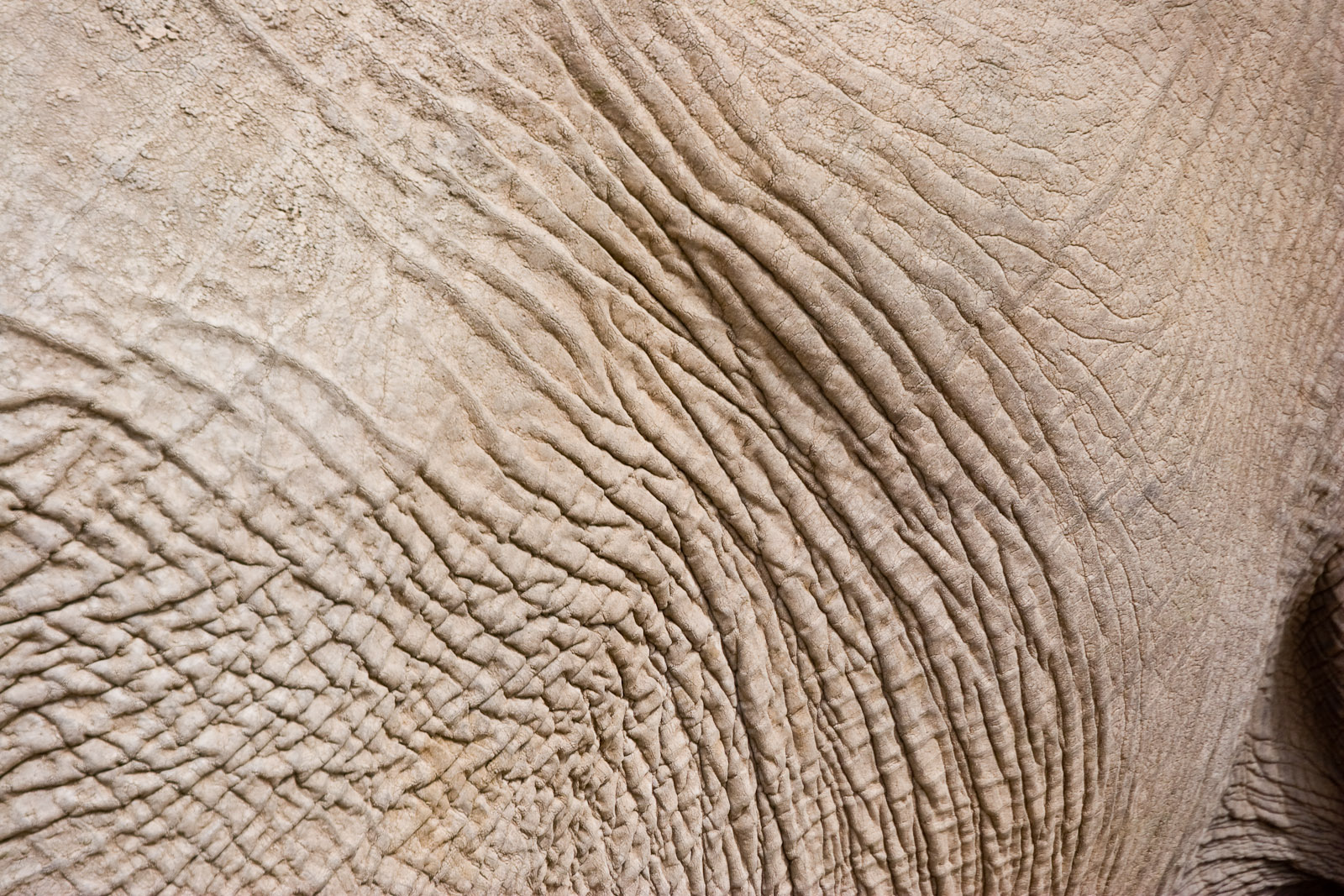 Āda